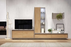 modelsur-salones-300-xnou-02-1100x628