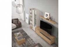 modelsur-salones-300-xnou-04-1100x628