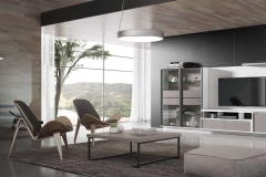 modelsur-salones-300-xnou-06-1100x628