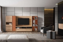 modelsur-salones-300-xnou-10-1100x628