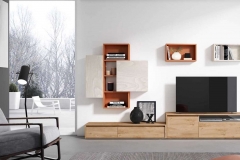 modelsur-salones-300-xnou-11-1100x628