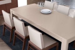 Promenor-da-mesa.Vega-09_03